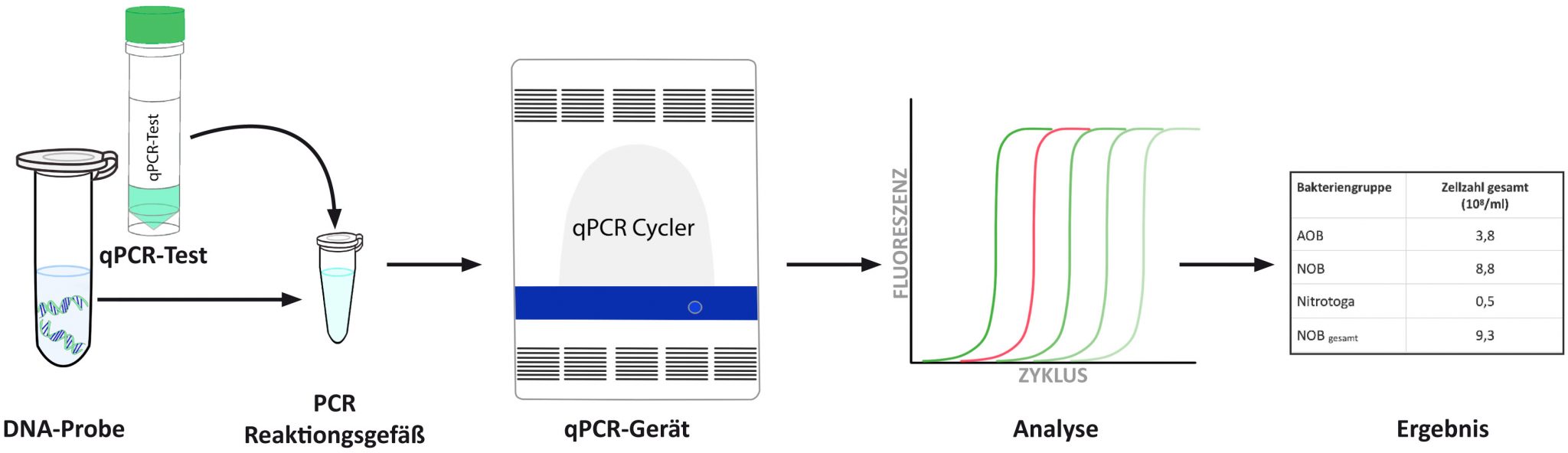 qPCR Workflow wastewater sample