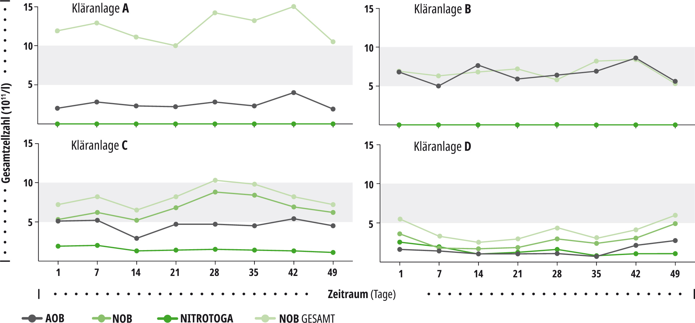 Nitrifikanten qPCR Abwasser Kläranlage